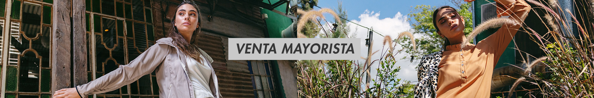 Mayoristas